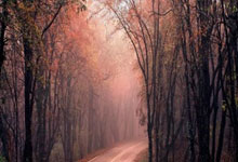 奥地利对阵北马其顿，胜负难料