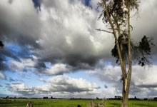 重要足球赛事中球员实力抢眼